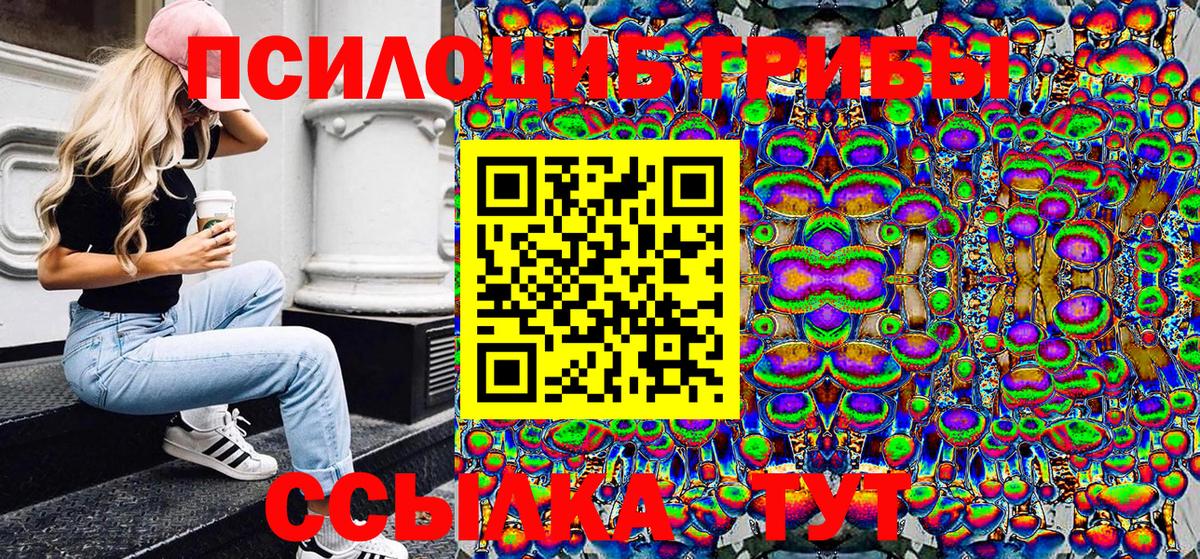 Артём  где купить   Вход с VPN  Псилоцибиновые грибы Psilocybe 